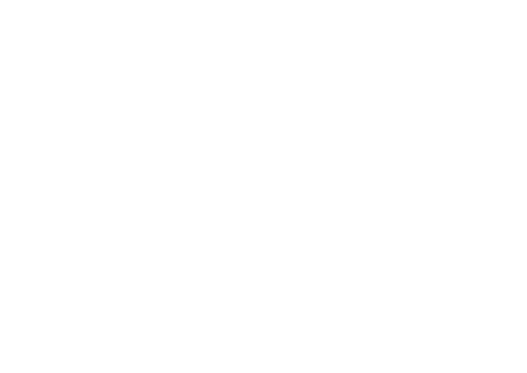 Detail Bros Auto Detailing logo