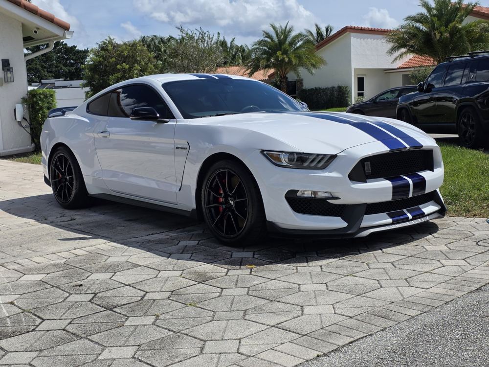 White Shelby GT350 with blue stripes after a full detail